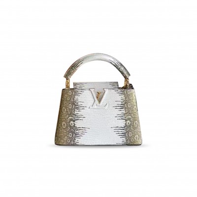LOUIS VUITTON CAPUCINES MINI M98156 (21*14*8cm)